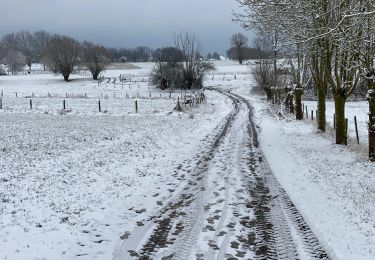 Trail Walking Meise - Meise 10,5 km - Photo
