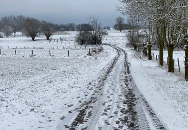 Tour Wandern Meise - Meise 10,5 km - Photo