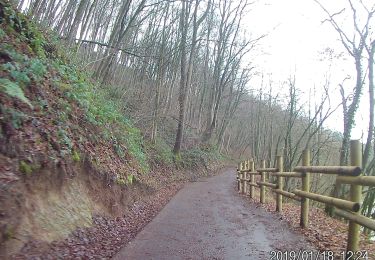 Tour Mountainbike Durbuy - 37 & Barvaux - Somme Leuze - Photo