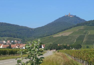 Trail Hybrid bike Kintzheim - 68100 kaysersberg - Photo