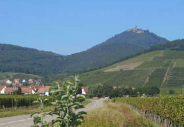 Percorso Bici ibrida Kintzheim - 68100 kaysersberg - Photo