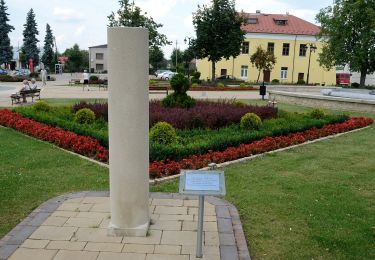 Tocht Te voet Józefów - Szlak geoturystyczny Roztocza Środkowego - Photo