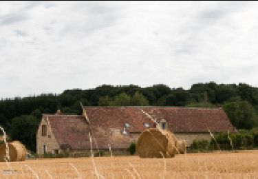 Tour Wandern Val-au-Perche - Gémages - Igé 15 km - Photo