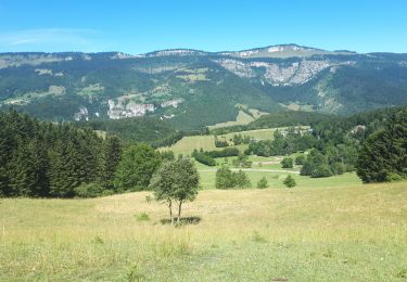 Excursión Marcha nórdica Saint-Nizier-du-Moucherotte - Croix du Lichou - Photo