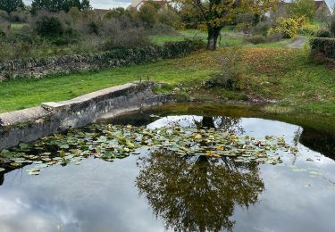 Tour Wandern Lentillac-du-Causse - Lentillac Orniac  - Photo