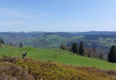 Tour Wandern Cornimont - Croix des Moinats - Photo