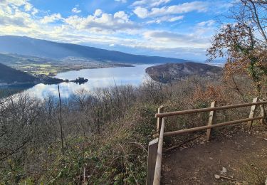 Tour Wandern Talloires-Montmin - les Pangolies - Photo