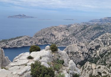 Tocht Stappen Marseille - Le tour du Mt Puget - Photo