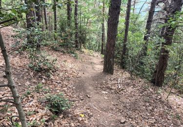 Trail Walking Vernet-les-Bains - Vernet 3 - Photo