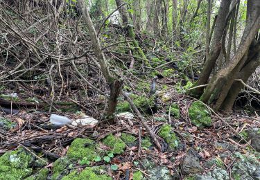 Trail Walking Le Tampon - 2023 11-12-reconnaissance de la ravine cascade  - Photo