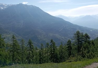 Tocht Stappen Réallon - Serre-Ponçon 06 06 2024 (Réallon) - Photo