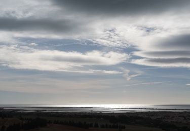 Tocht Mountainbike Frontignan - pioch de la barre - Photo