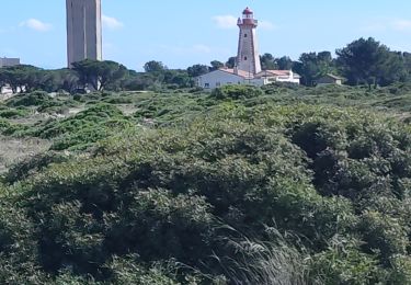 Percorso Marcia Leucate - phare de Leucate à la Franquin  - Photo