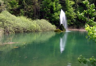 Tocht Stappen Saint-Cassin - Saint-Cassin-2021-05-11 - Photo