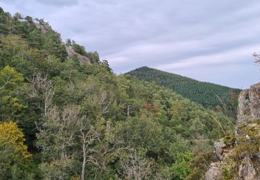 Trail Walking Dambach-la-Ville - Les rochers du Dachfirst - Photo