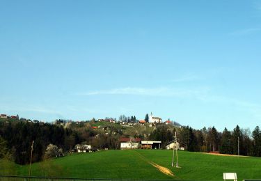 Excursión A pie Šentjur - Dramlje-Bolnica Zima - Photo