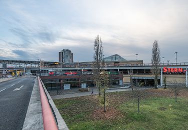 Randonnée A pied  - (Grüner Punkt) - Photo