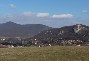 Percorso A piedi Pomáz - Erdőszéli ösvény (Csobánka, Margitliget - Csobánkai-nyereg - Csobánkai templomok) - Photo