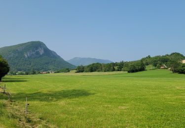 Randonnée Marche La Chapelle-en-Vercors - Le tour de la chapelle  en Vercors - Photo