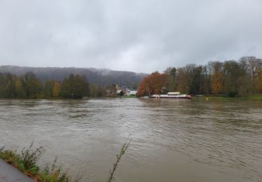 Trail Walking Namur - Wepion 211123 - Photo