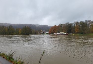 Randonnée Marche Namur - Wepion 211123 - Photo