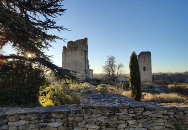 Trail Walking Saint-Martin-le-Vieil - le sentier de St Martin  - Photo