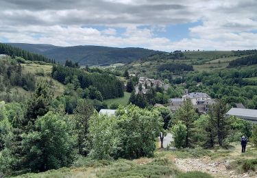 Randonnée Marche Mont Lozère et Goulet - Stevenson étape 7 - Photo