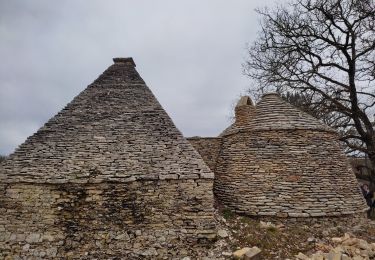 Tocht Stappen Gabillou - boucle des murs en pierres sèches  - Photo