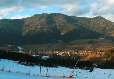 Randonnée A pied Gemeinde Spital am Semmering - Wanderweg 13 - Photo