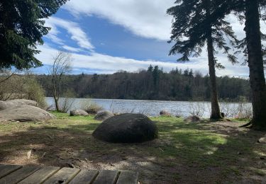 Trail Walking Le Bez - Bois de Merle - Photo