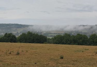 Trail Walking Valorbiquet - St Cyr du Ronceray - St Julien de Mailloc - La Chapelle Yvon  - Photo