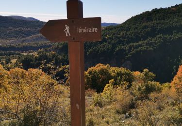 Tour Wandern Coursegoules - Circuit à Coursegoules - Automne  - Photo