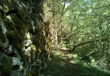 Tour Wandern Capoulet-et-Junac - Le Vicdessos par Illié - Photo