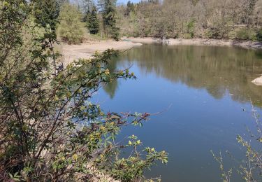 Randonnée Marche Waimes - Balade de rêve 17 - Du lac aux sources de Quareu - Photo