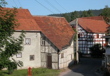 Trail On foot Ilmenau - Rund um Heyda - Photo