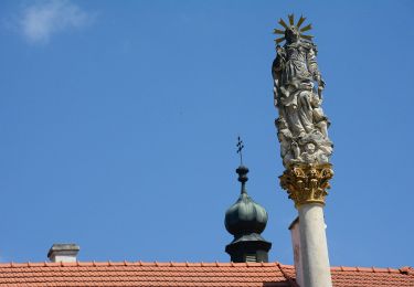 Tocht Te voet Znojmo - [Č] Vranov - Železné schody - Photo