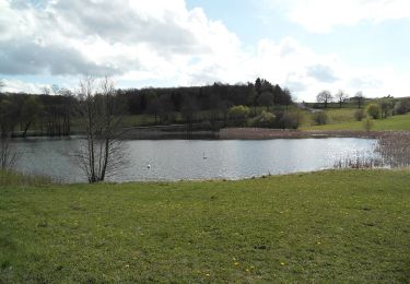 Tocht Te voet Steinau an der Straße - Steinau a.d. Straße, Wanderweg 9 - Photo