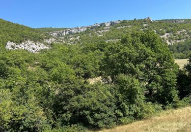 Percorso Equitazione Revest-du-Bion - Provence 2025 J5 - Photo