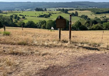 Randonnée A pied Stoumont -  Marche Adeps Rahier 12 Km  - Photo