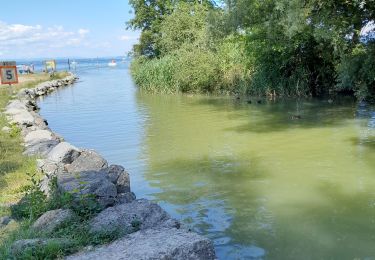 Trail Walking Excenevex - Lac Léman - Photo