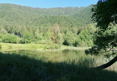 Excursión Senderismo Saint-Martin-d'Uriage - séglières 2021 - Photo