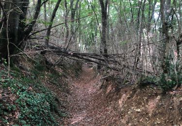 Trail Walking Châteaudouble - Chateaudouble pont des sarrasins  - Photo