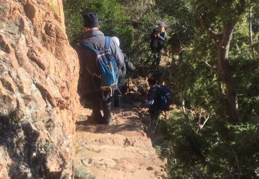 Tour Wandern Saint-Raphaël - Agathe - Photo