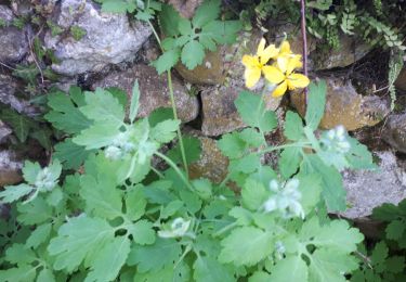 Trail Walking L'Albenc - Circuit autour de l'Albenc par Chantesse - Photo