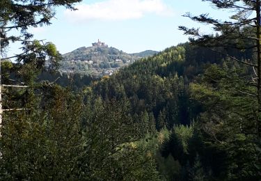 Tour Wandern Dagsburg - Dabo-Walscheid - Photo