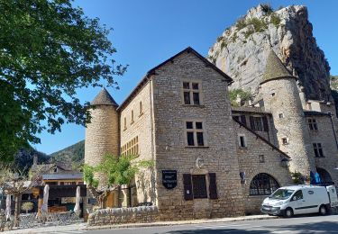 Excursión Senderismo Le Rozier - Causse et gorges au pays des vautours  - Photo