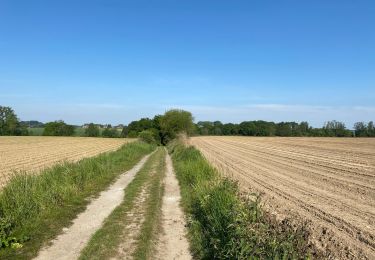 Tour Wandern Enghien - Enghien 16 km - Photo