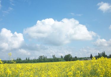 Tour Wandern Charleval - 20230509-Charleval  - Photo