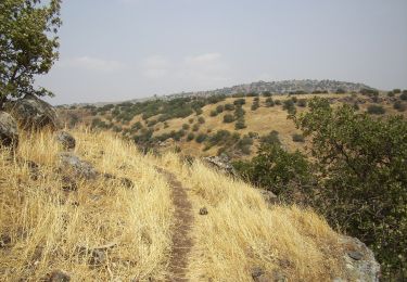 Trail On foot Golan Regional Council - Zavitan Fall - Photo