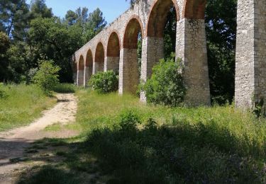 Tocht Stappen La Penne-sur-Huveaune - la coueste le 23/5/19 - Photo